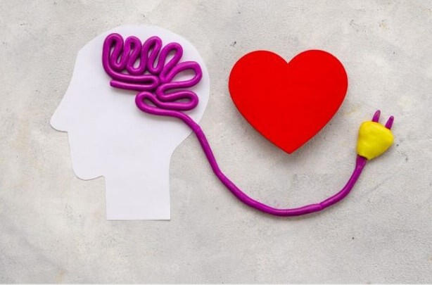 Ranked Choice voting